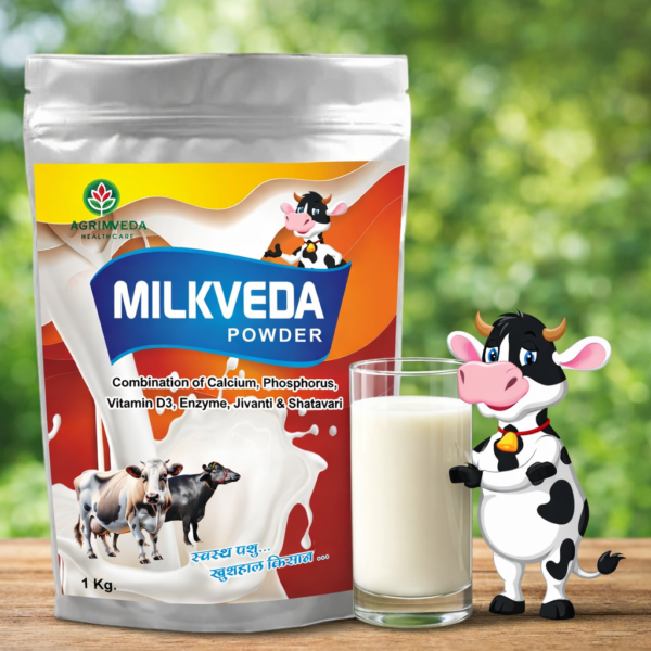 1 kg AG Milkveda Powder for Cattle - Milk Booster & Lactation Support Supplement